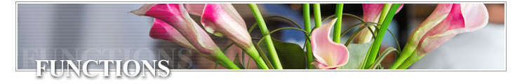 Functions